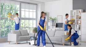 Clean and Professional Work