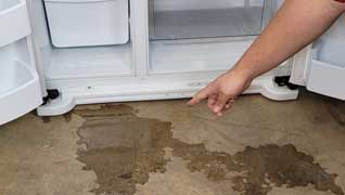 Water & Leakage Issues